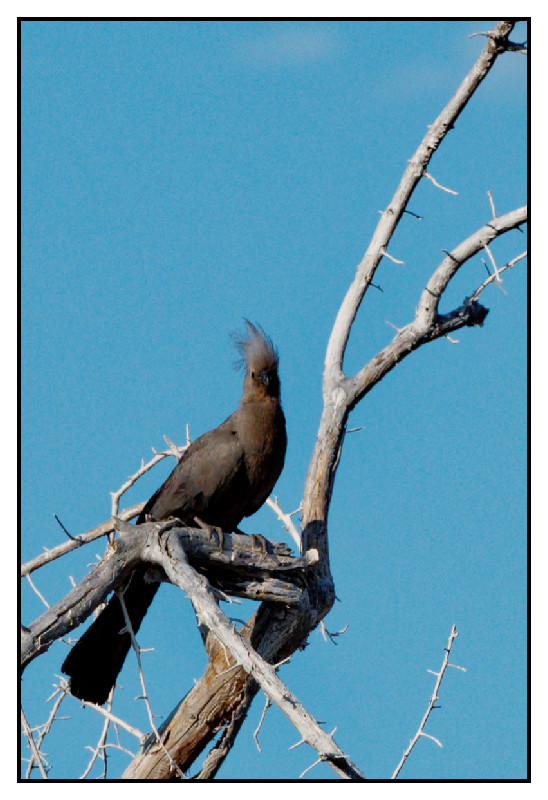 Namibie_0326_web