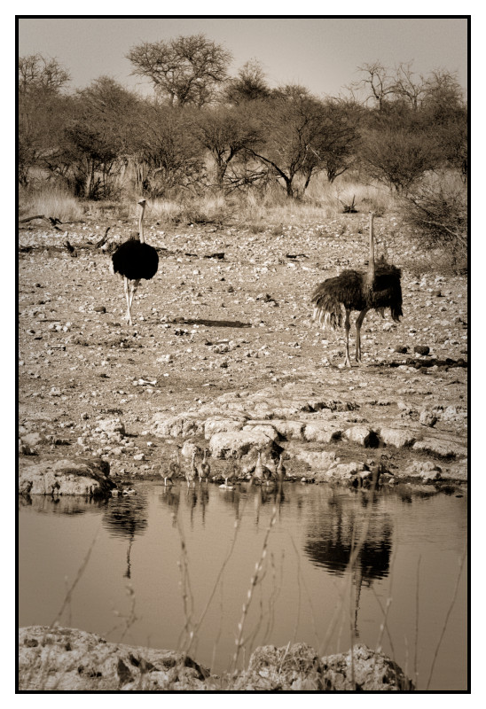 Namibie_0357_web