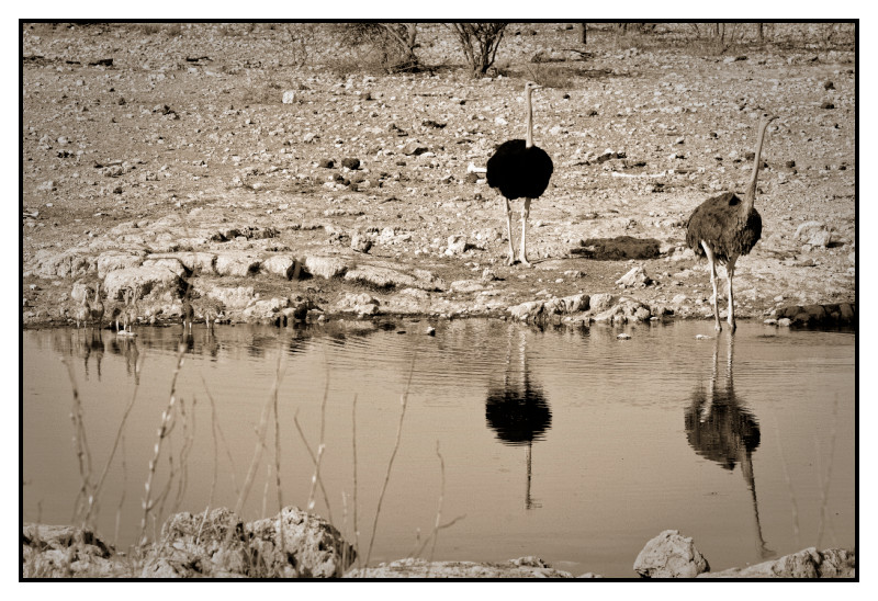 Namibie_0365_web