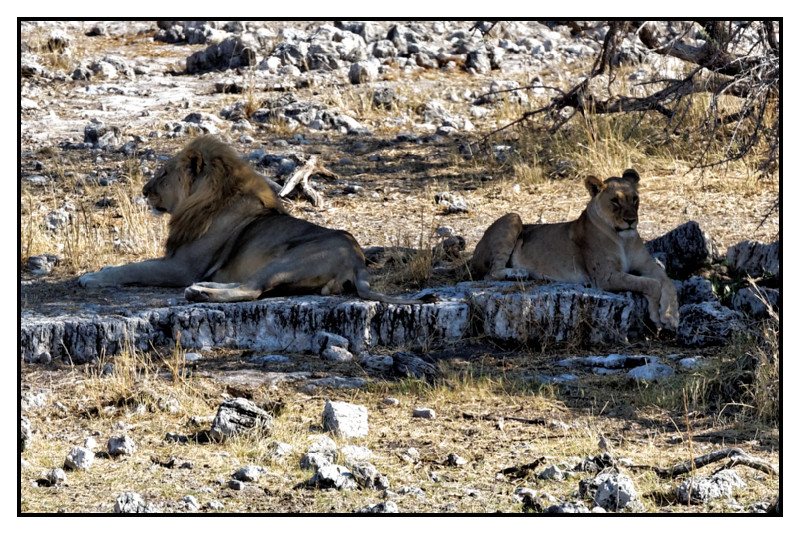Namibie_0377_web