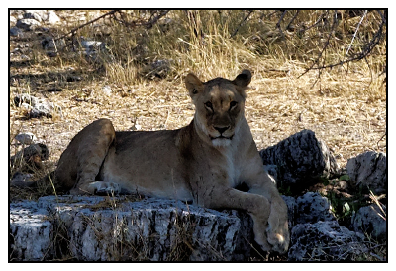 Namibie_0378_web