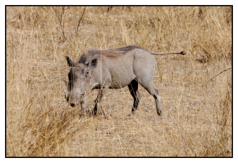 Namibie_0390_web