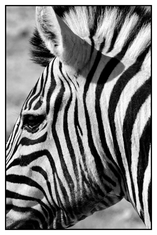 Namibie_0396_web