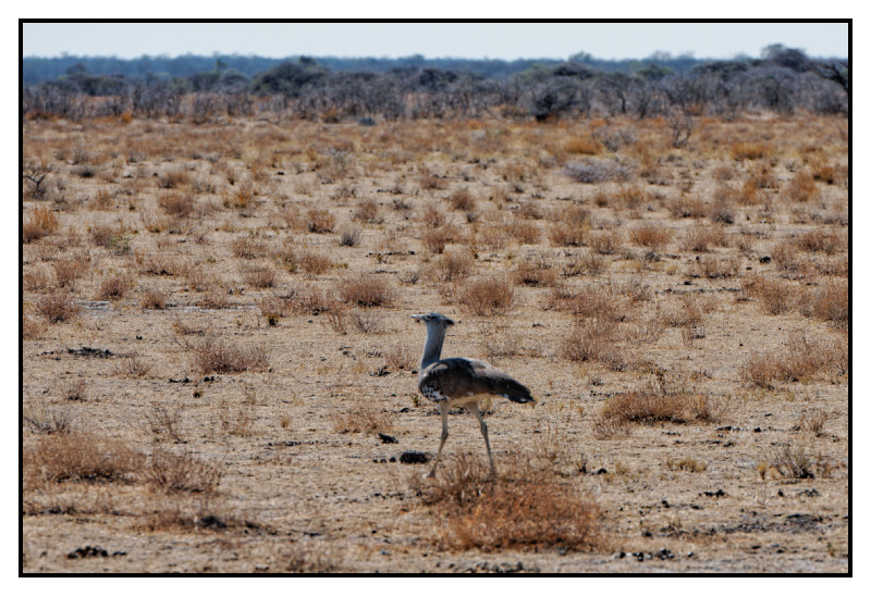 Namibie_0403_web