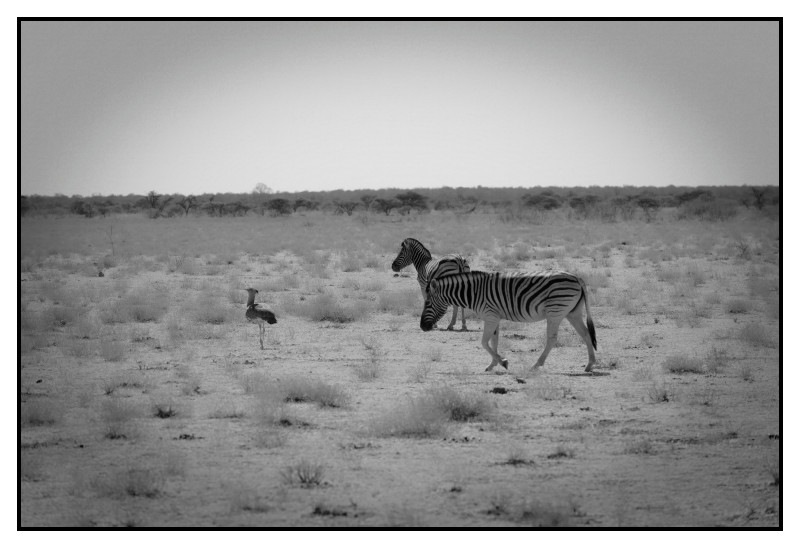 Namibie_0405_web