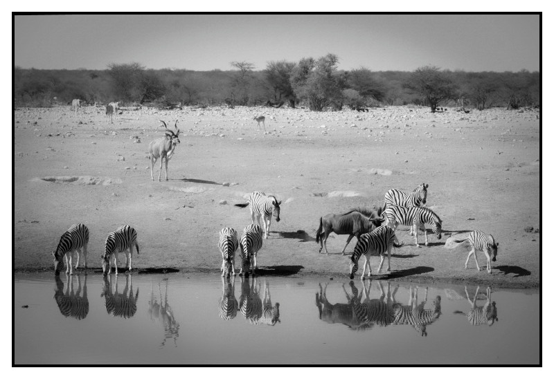 Namibie_0415_web