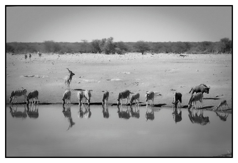 Namibie_0421_web