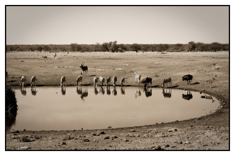 Namibie_0423_web