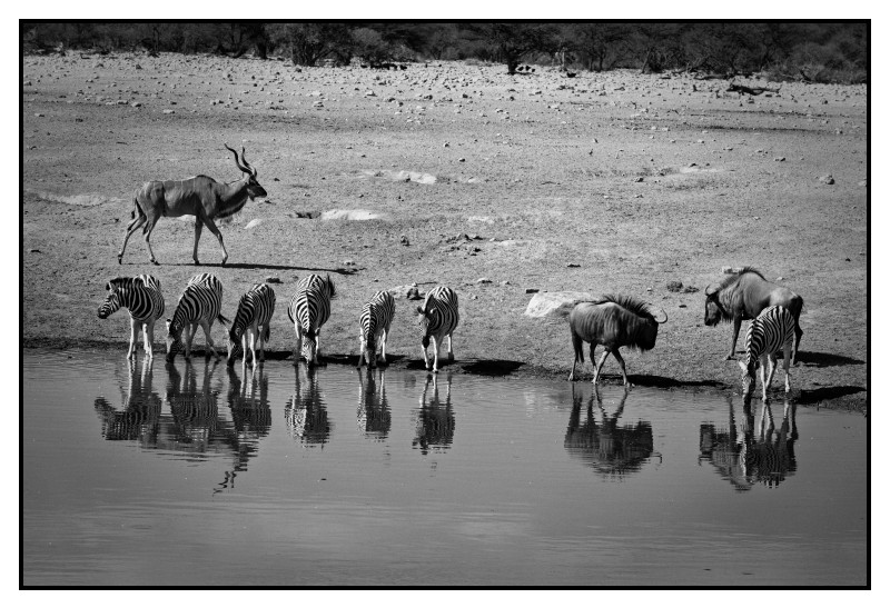 Namibie_0424_web