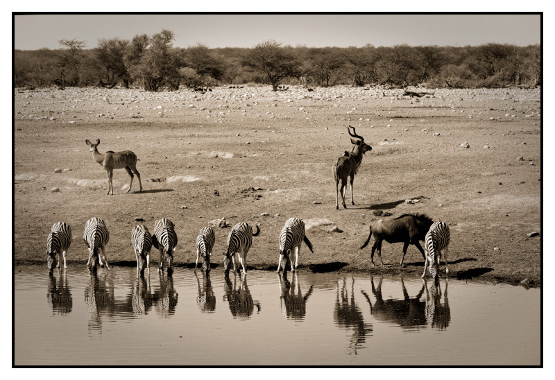 Namibie_0427_web