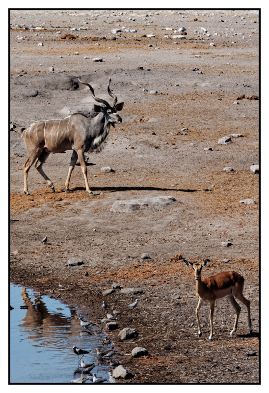 Namibie_0430_web
