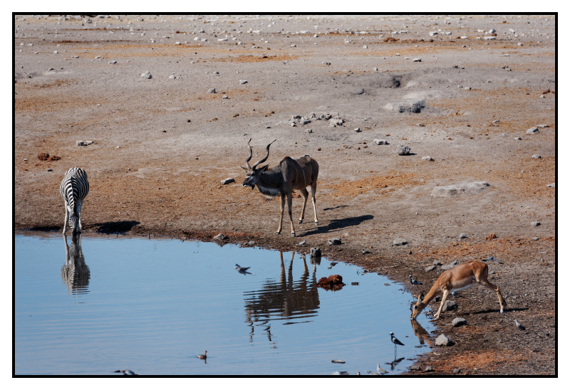 Namibie_0435_web