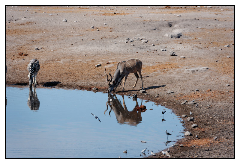 Namibie_0439_web