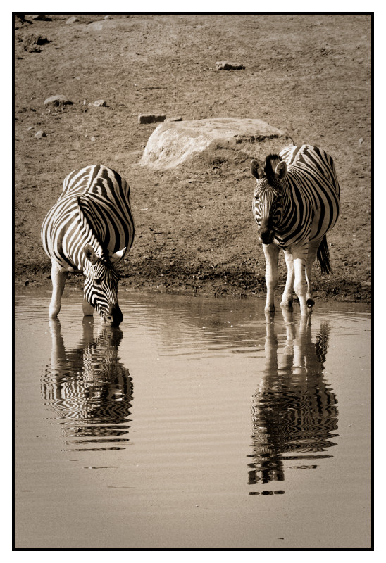 Namibie_0441_web
