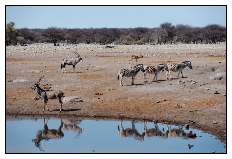 Namibie_0448_web