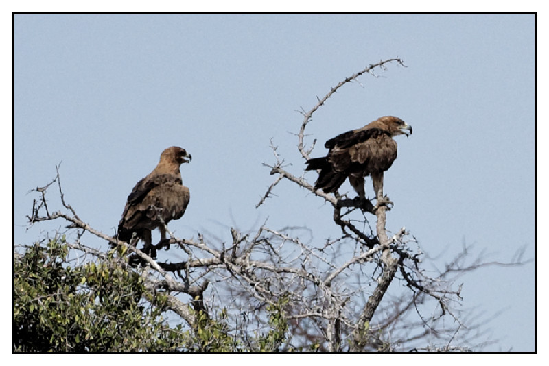 Namibie_0449_web