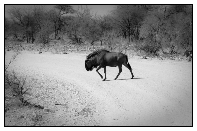 Namibie_0459_web