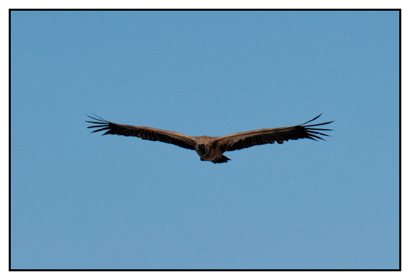 Namibie_0469_web