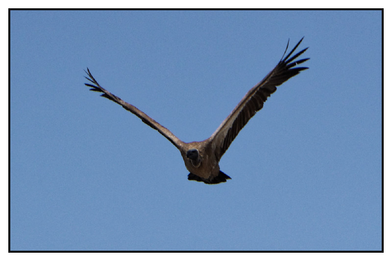 Namibie_0470_web