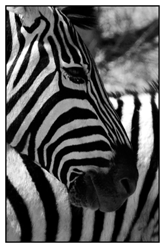 Namibie_0488_web