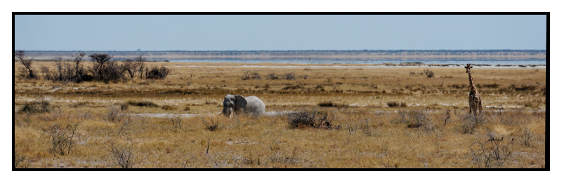 Namibie_0506_web
