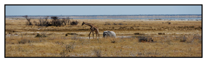 Namibie_0509_web