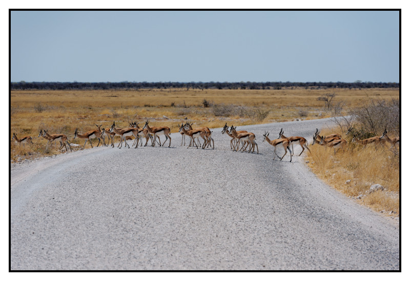 Namibie_0511_web