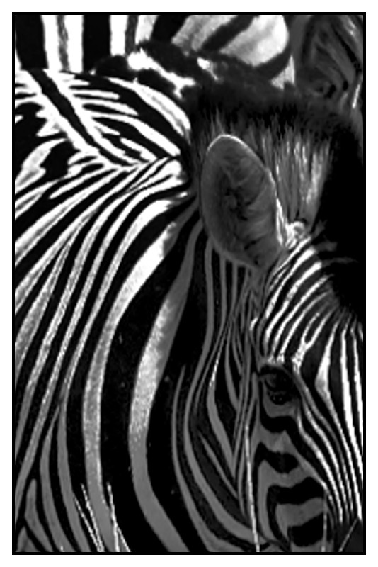 Namibie_0534_web