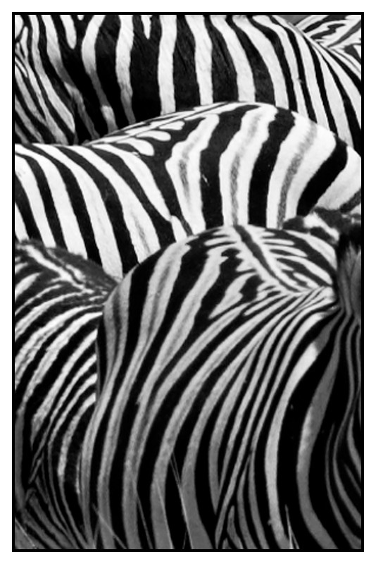 Namibie_0535_web