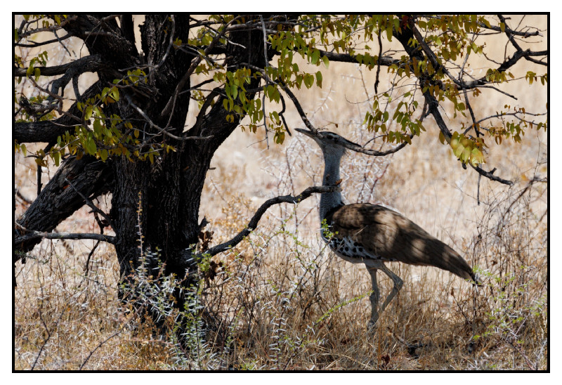 Namibie_0562_web