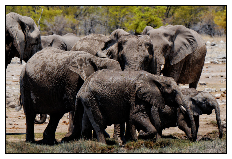 Namibie_0580_web