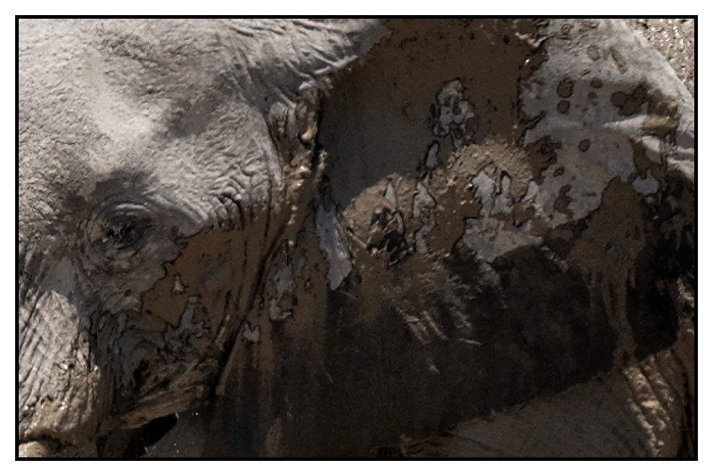 Namibie_0586_web