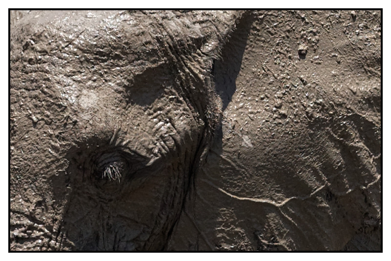 Namibie_0599_web