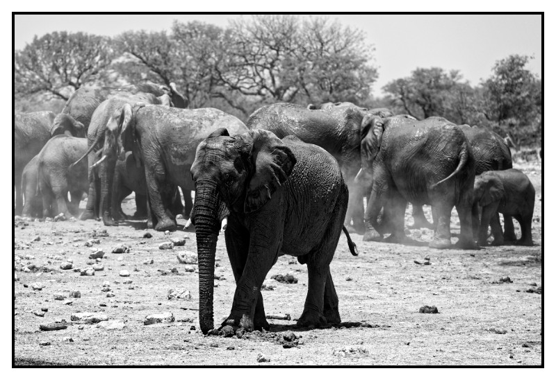 Namibie_0618_web