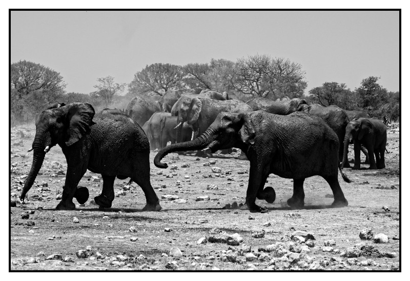 Namibie_0620_web