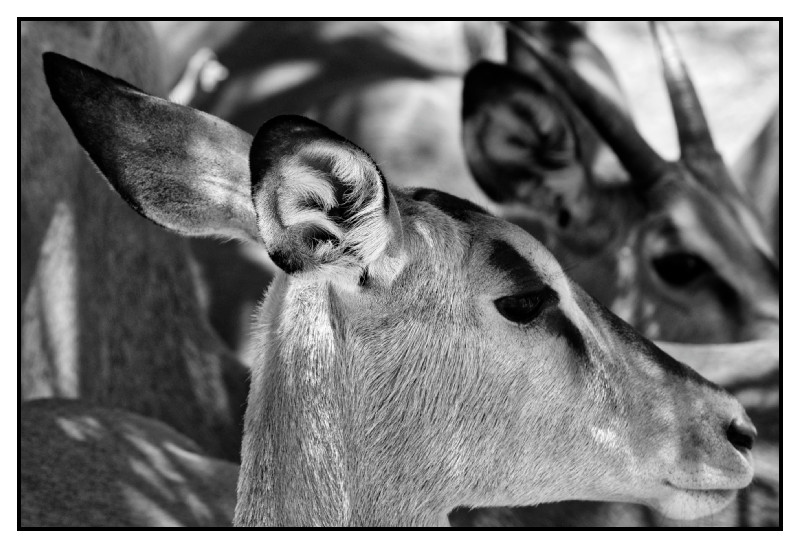 Namibie_0628_web