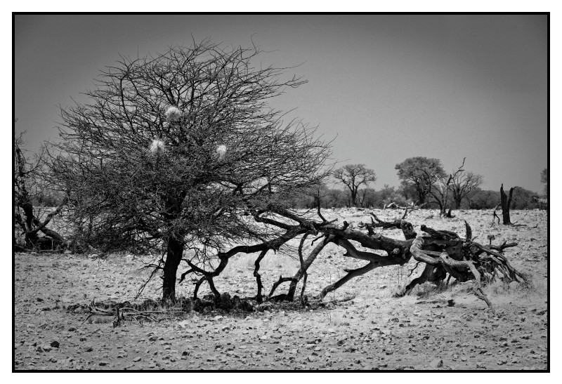 Namibie_0633_web