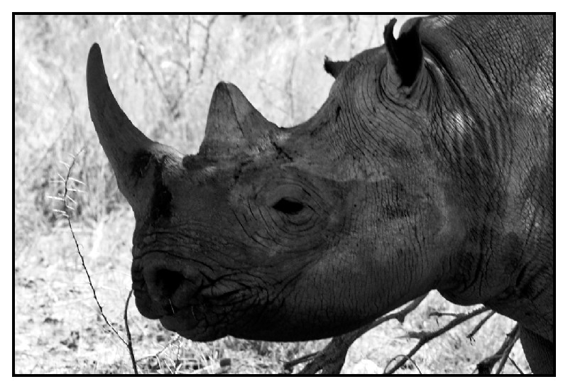 Namibie_0654_web