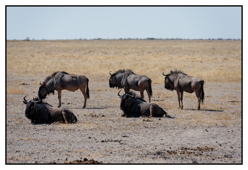 Namibie_0692_web
