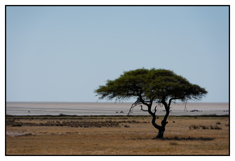 Namibie_0696_web