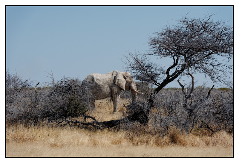 Namibie_0700_web