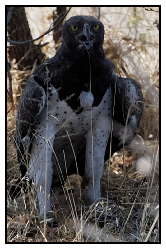 Namibie_0717_web