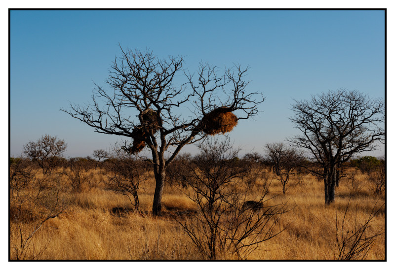 Namibie_0750_web