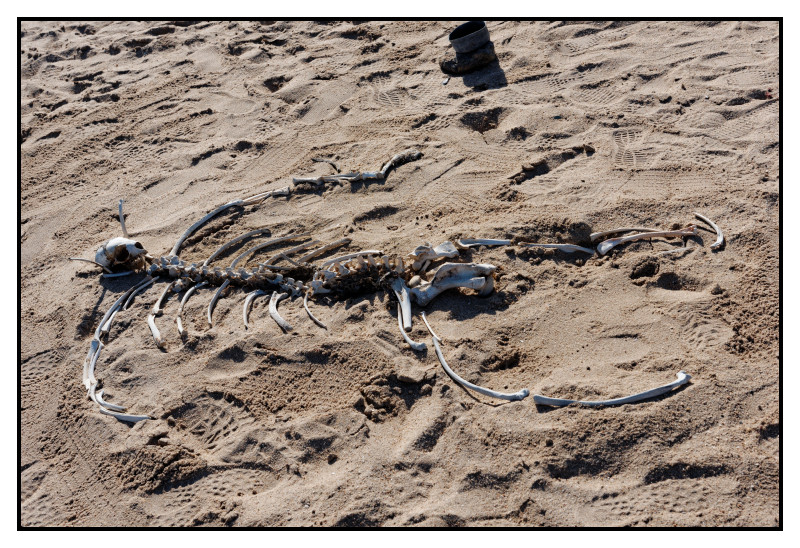 Namibie_0988_web