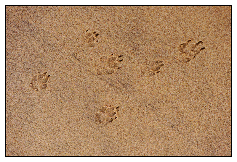Namibie_1073_web