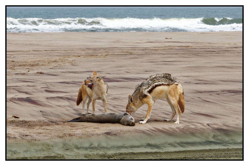 Namibie_1157_web