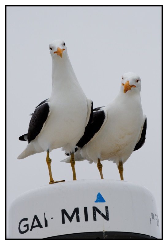 Namibie_1168_web