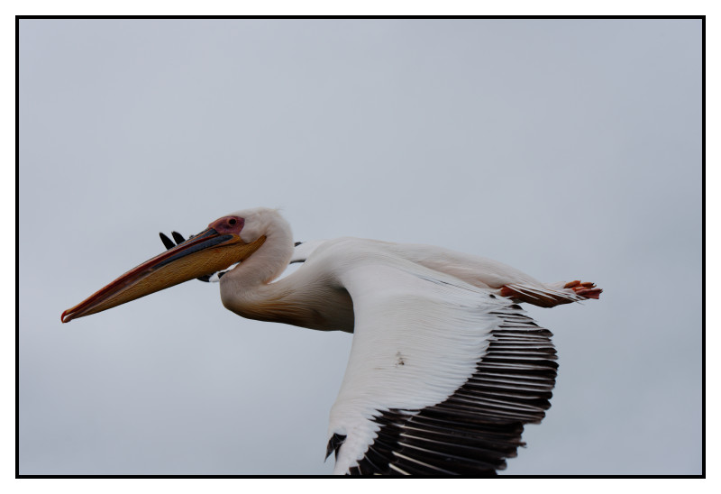 Namibie_1189_web