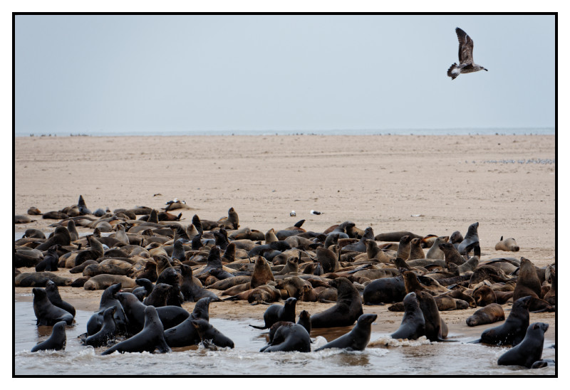 Namibie_1265_web