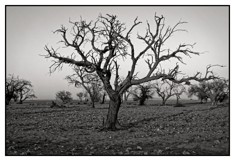 Namibie_1526_web